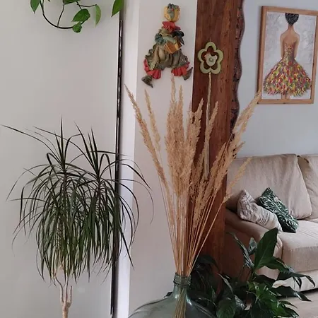 Vakantiehuis Au Petit 31 *